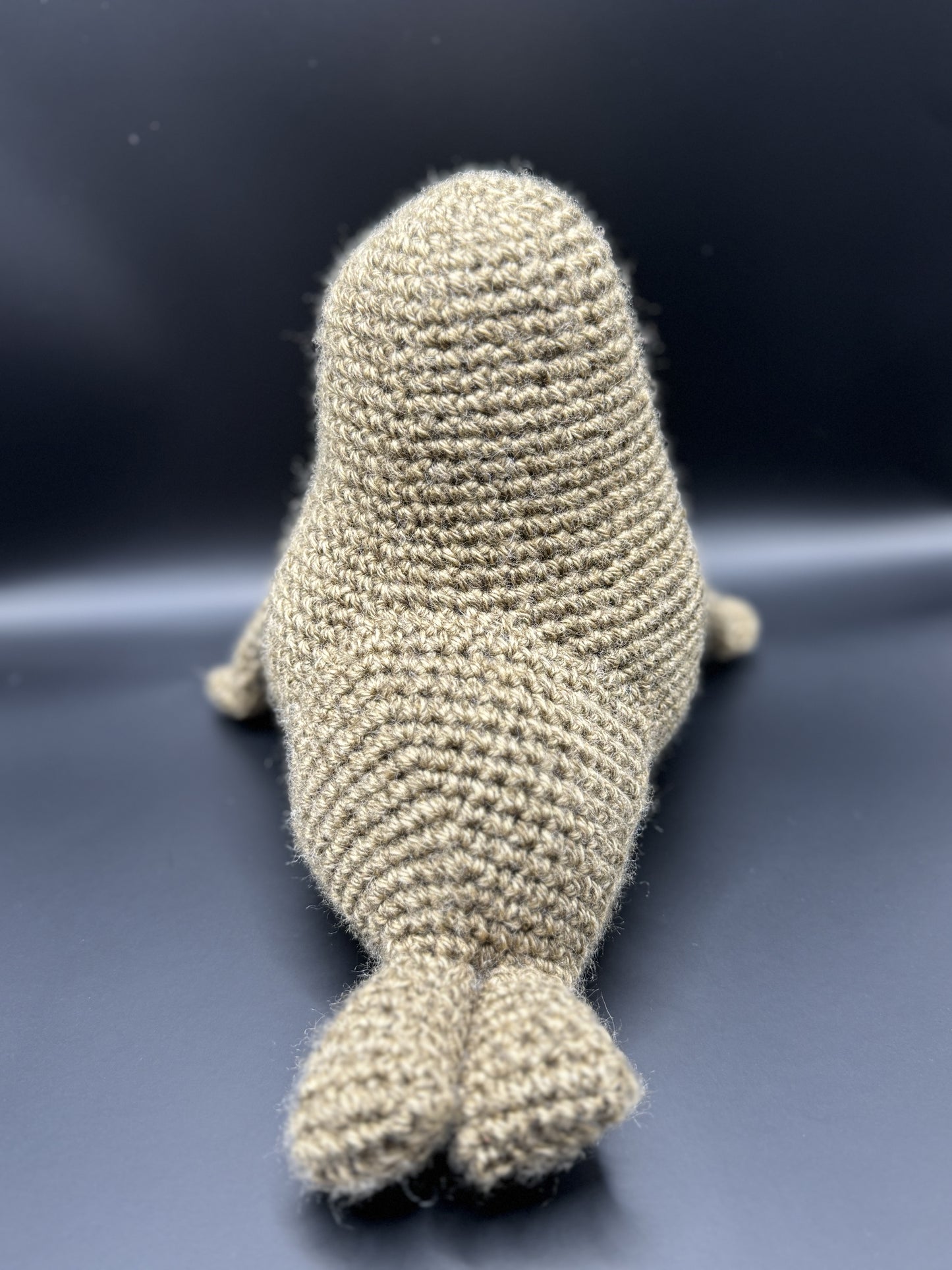 Walrus