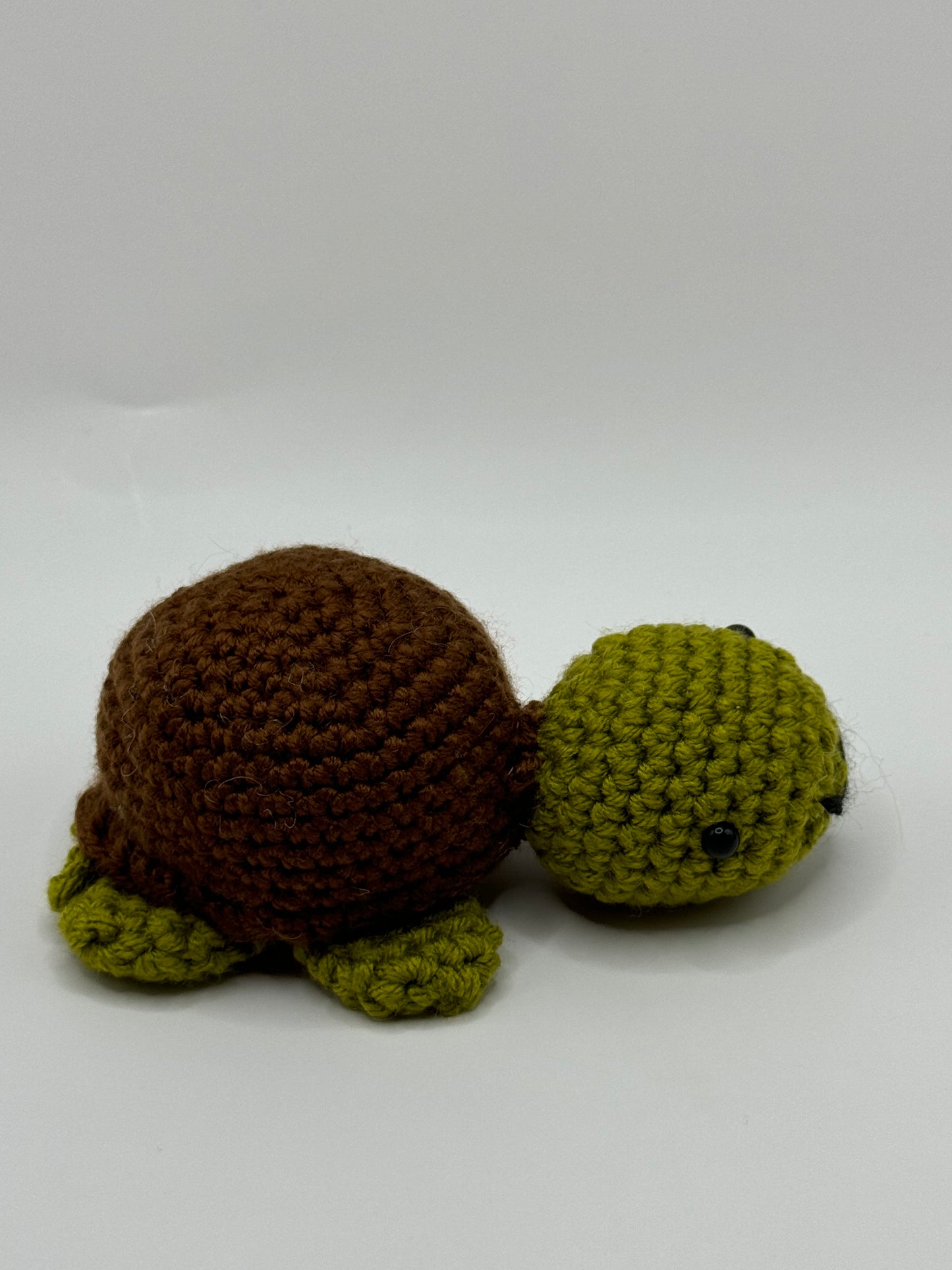 Baby Turtle