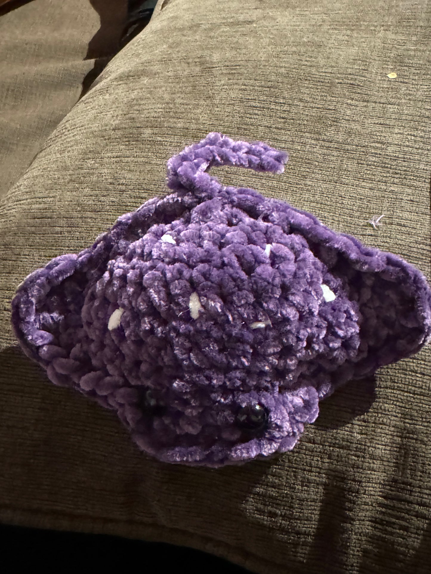 Manta Ray (Small)