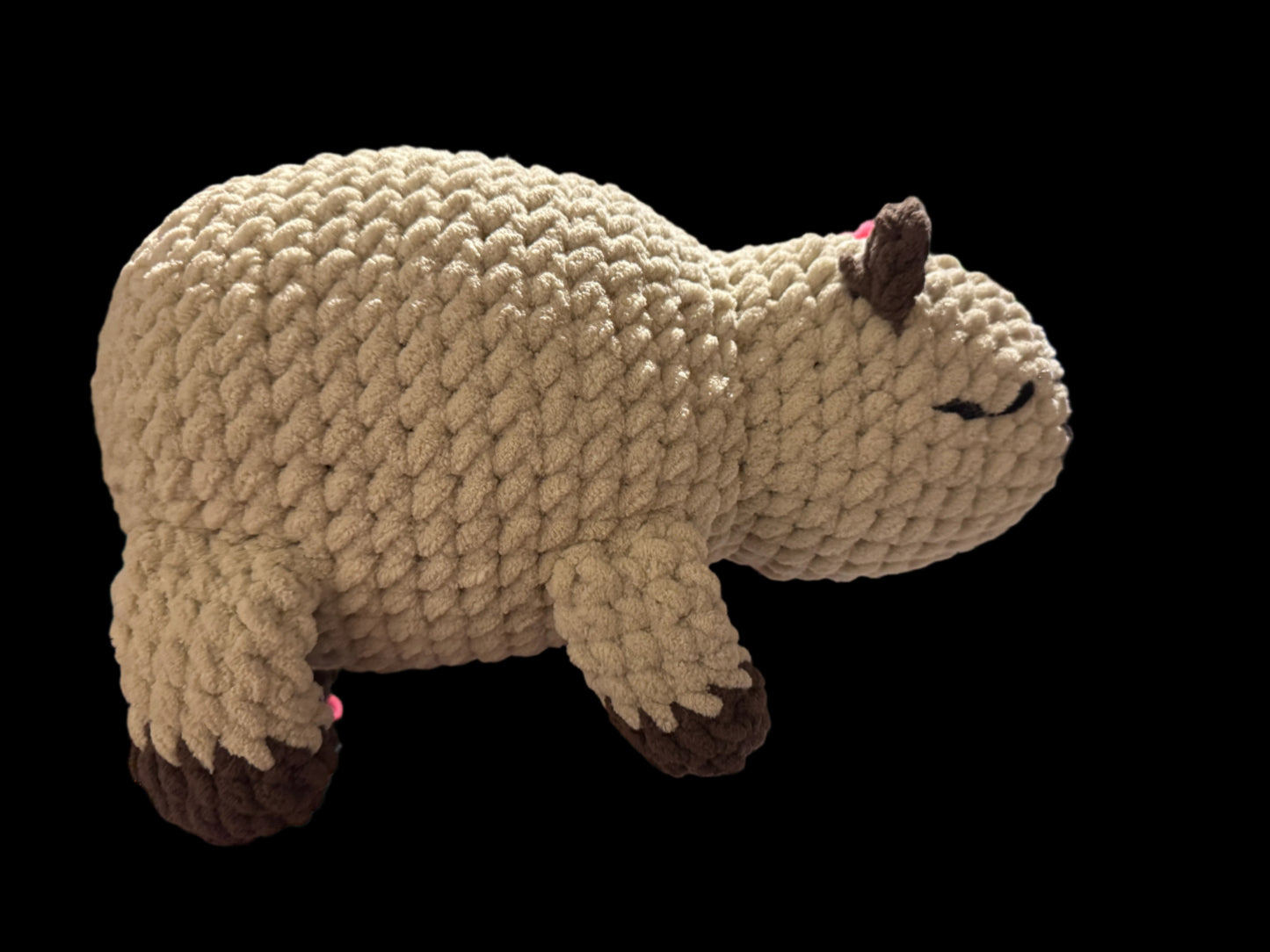 Capybara