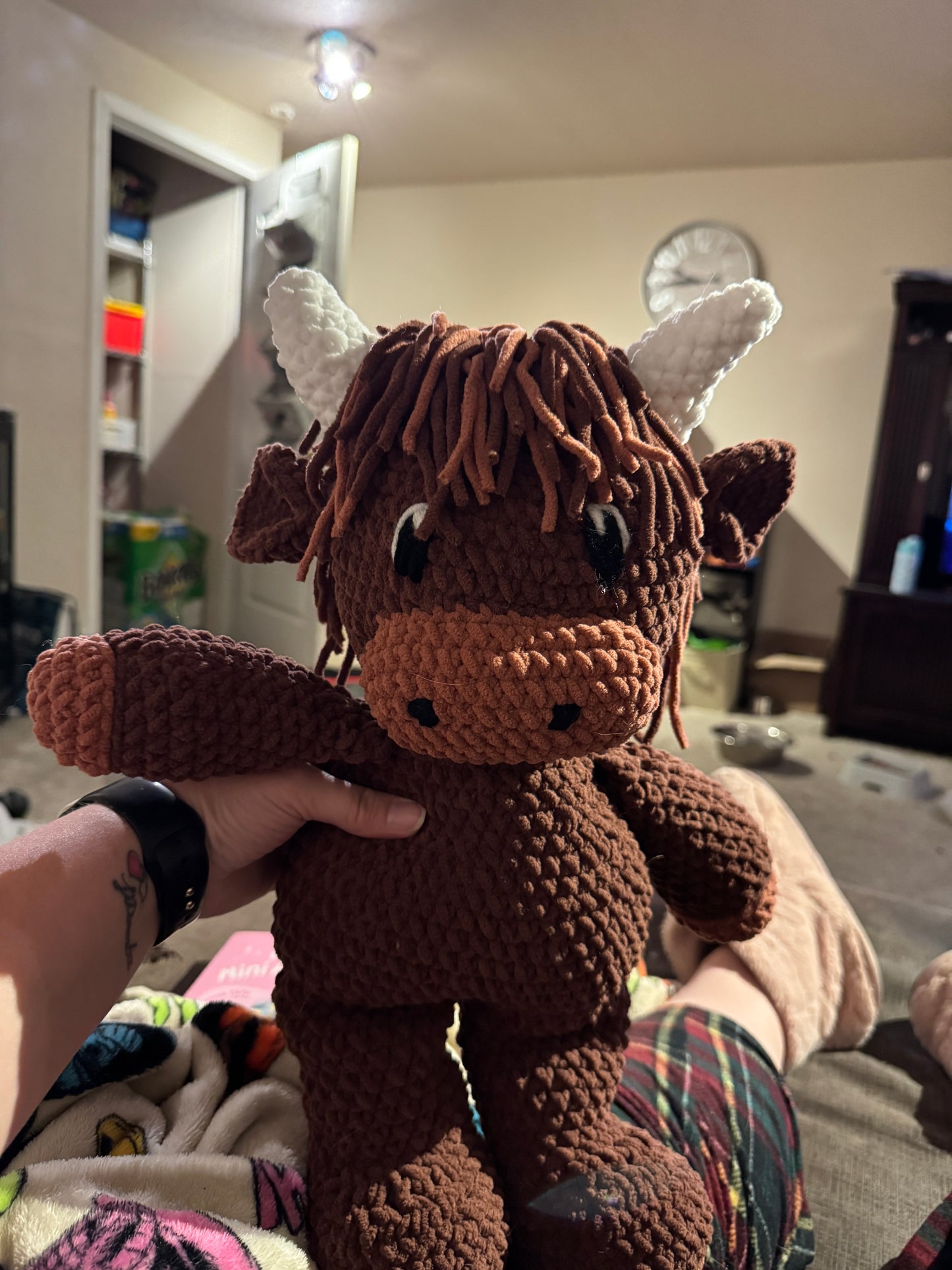 Large Highland Cow