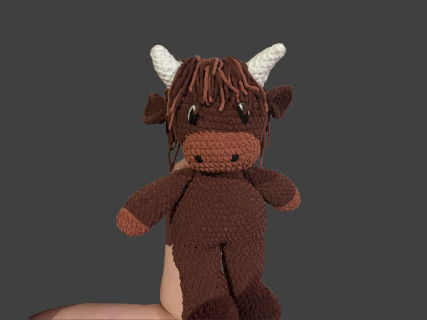 Large Highland Cow