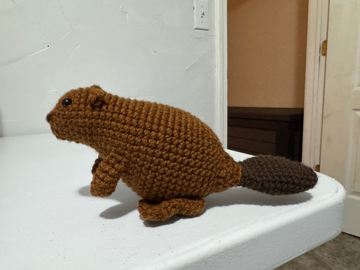Beaver