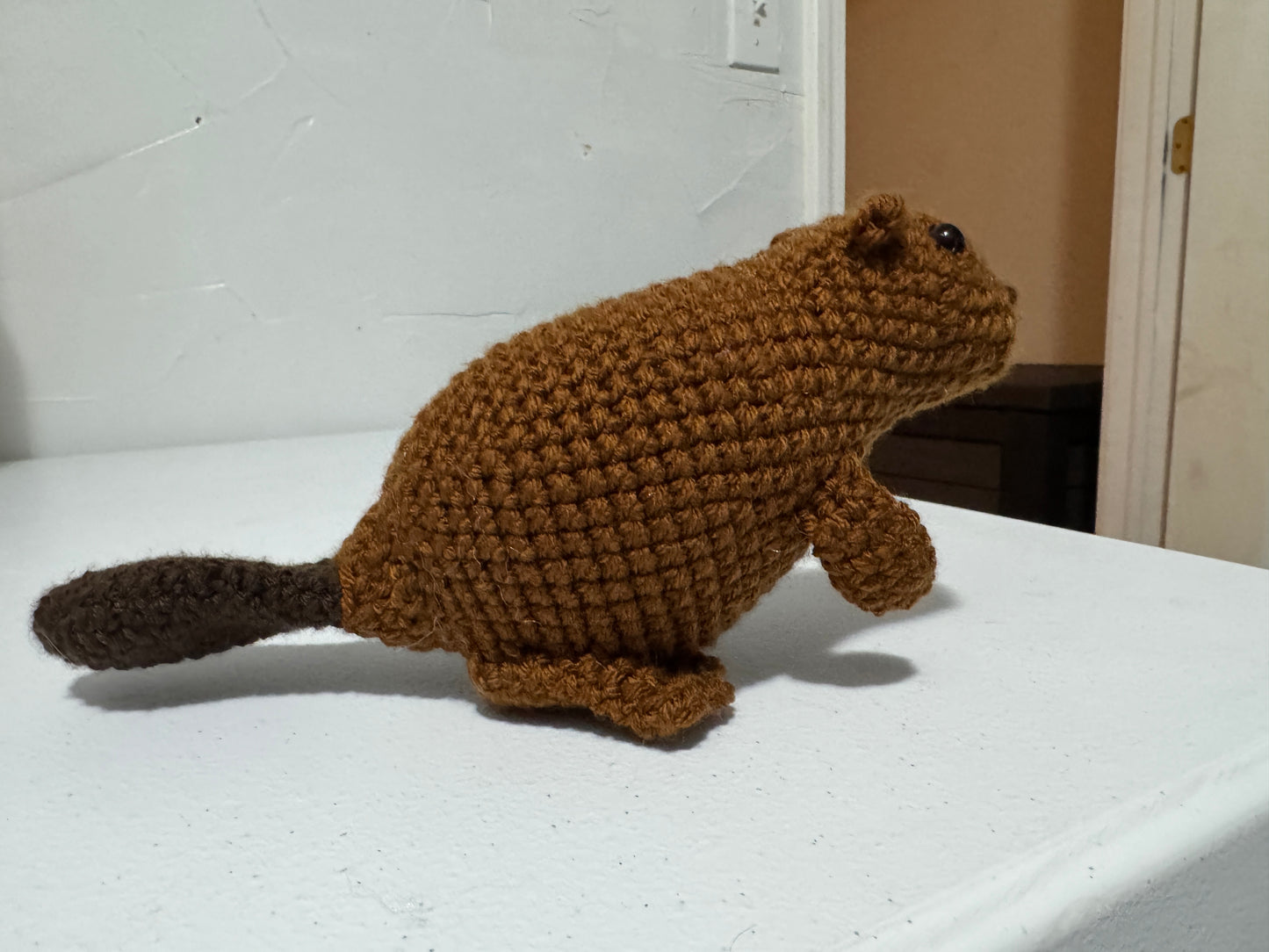Beaver