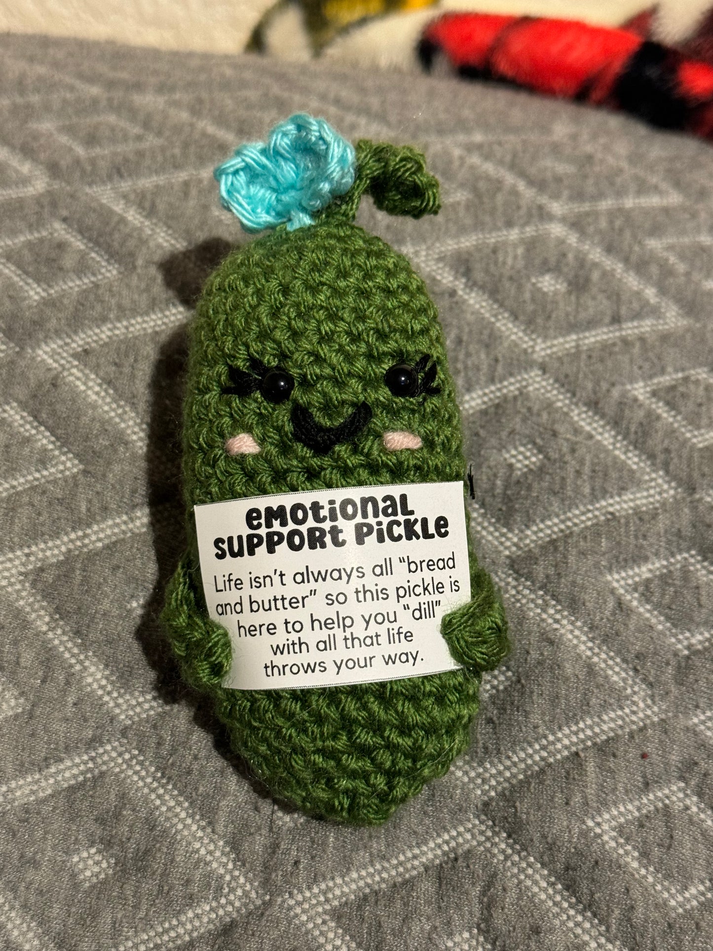 Emotional Support Pickle (Girl)