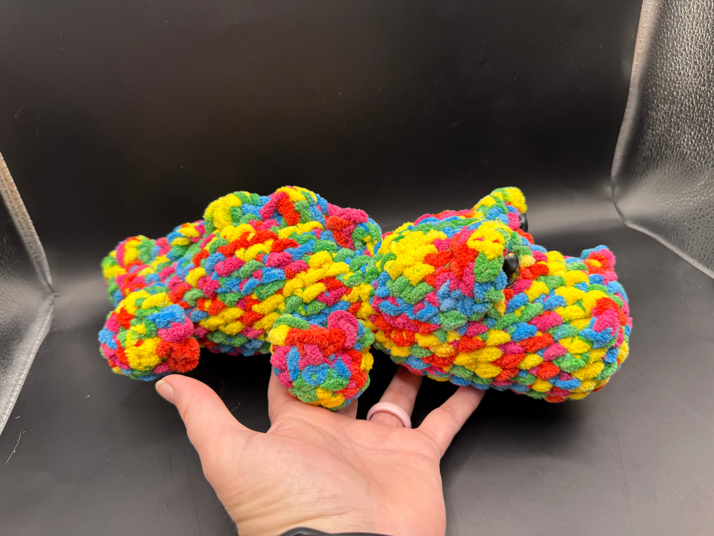Rainbow Crocodile