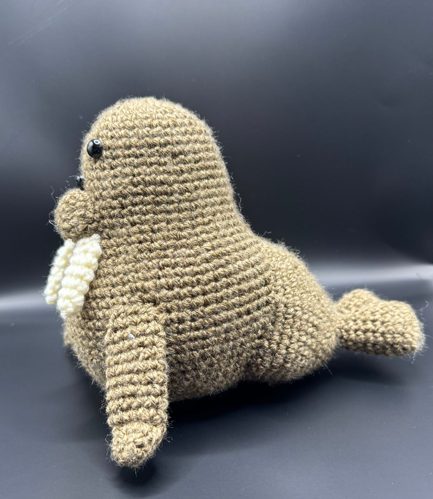 Walrus