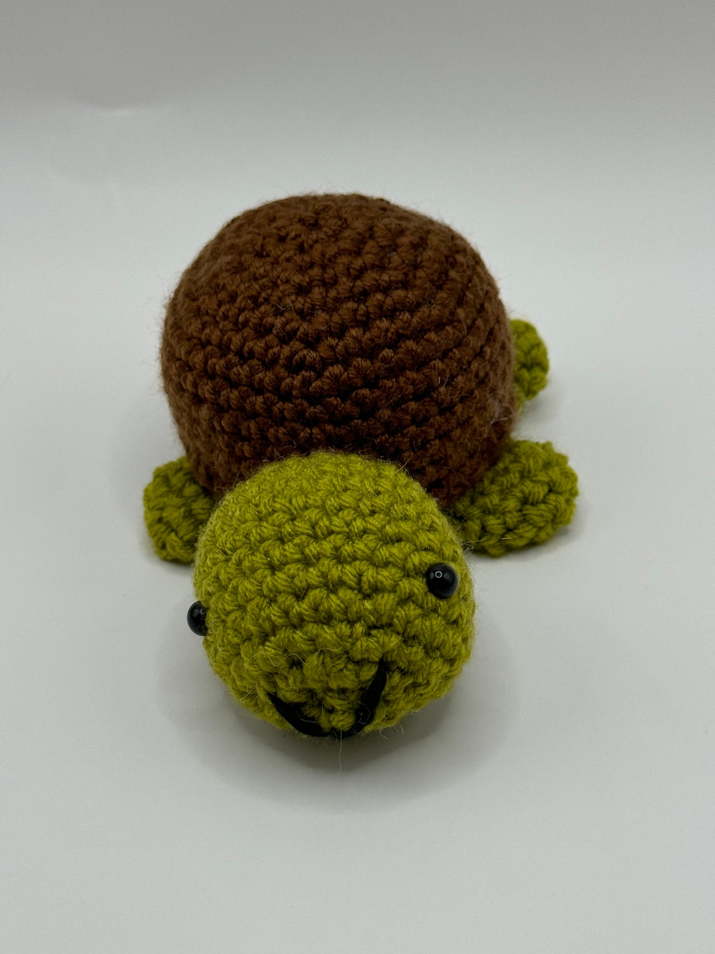 Baby Turtle