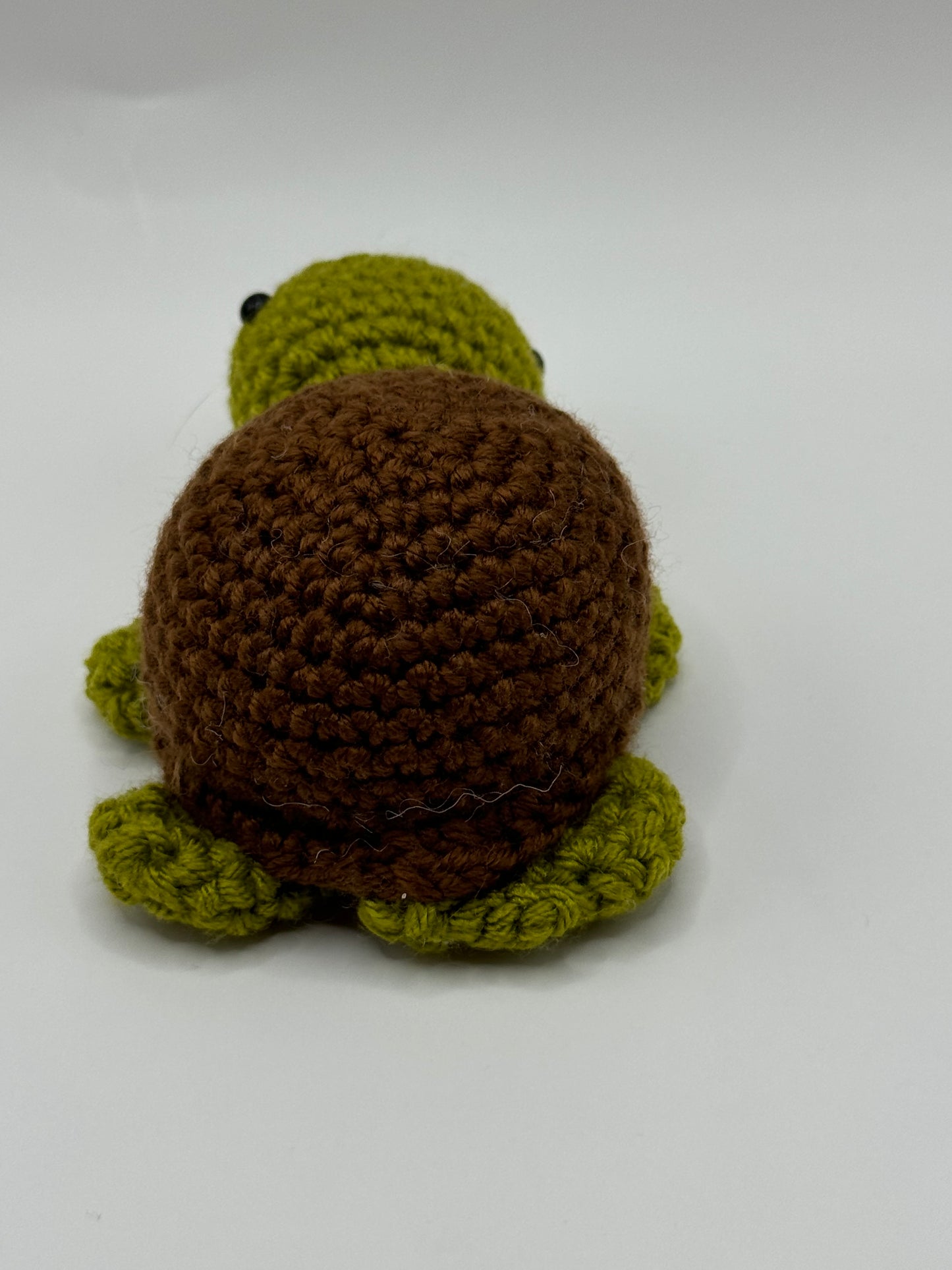 Baby Turtle