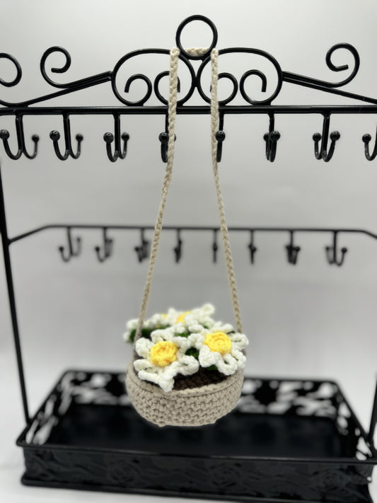 Hanging Plant