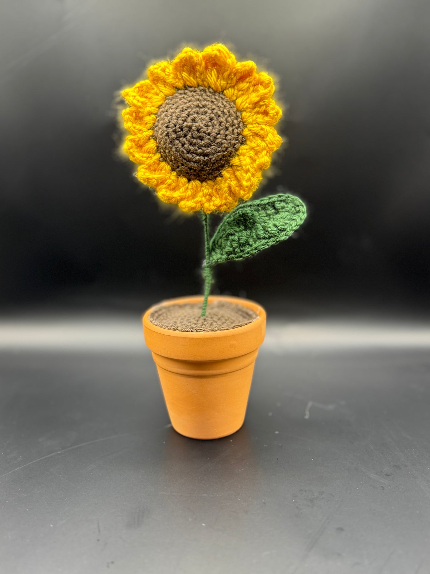Potted Sunflower