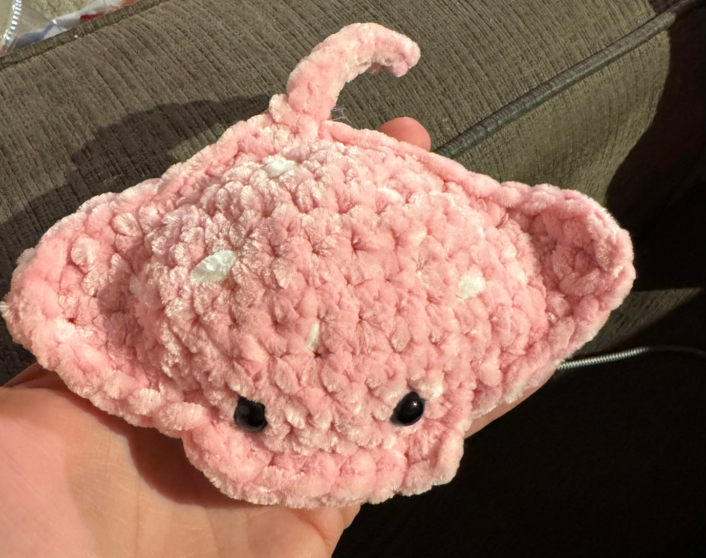 Manta Ray (Small)